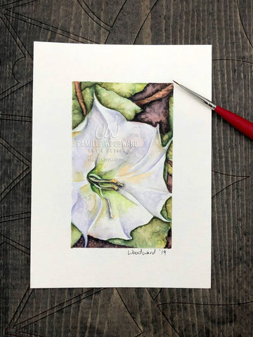 Jimsonweed Bloom Original Watercolor Painting of White Flower with Green Leaves
