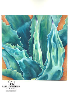 Austin Agave