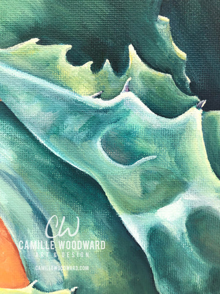 Austin Agave
