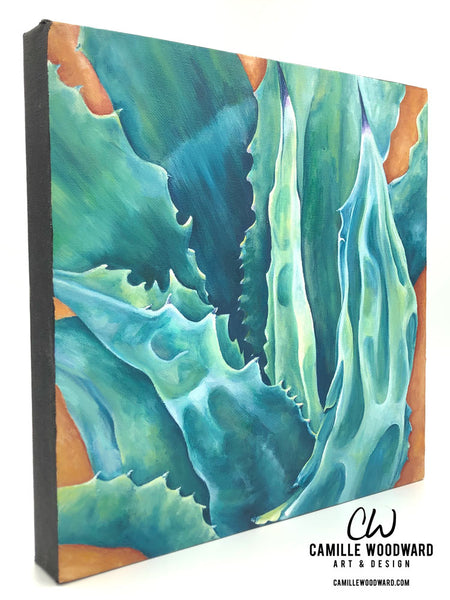 Austin Agave