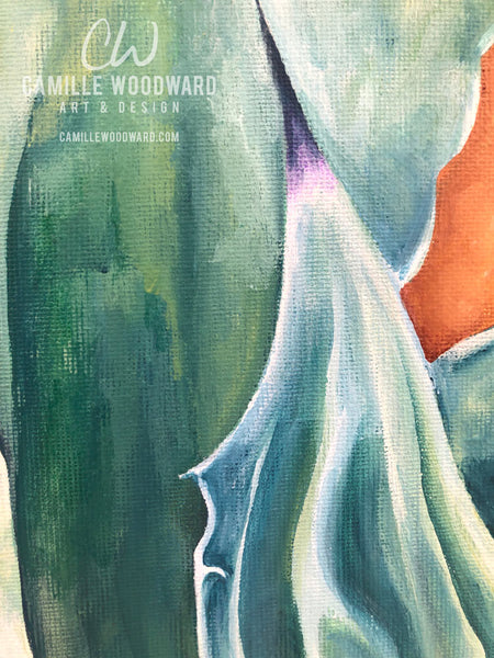Austin Agave