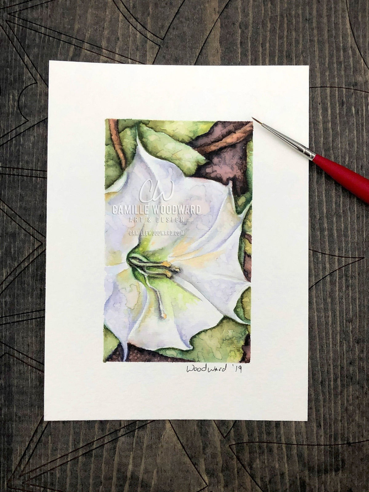 Jimsonweed Bloom Original Watercolor Painting of White Flower with Green Leaves