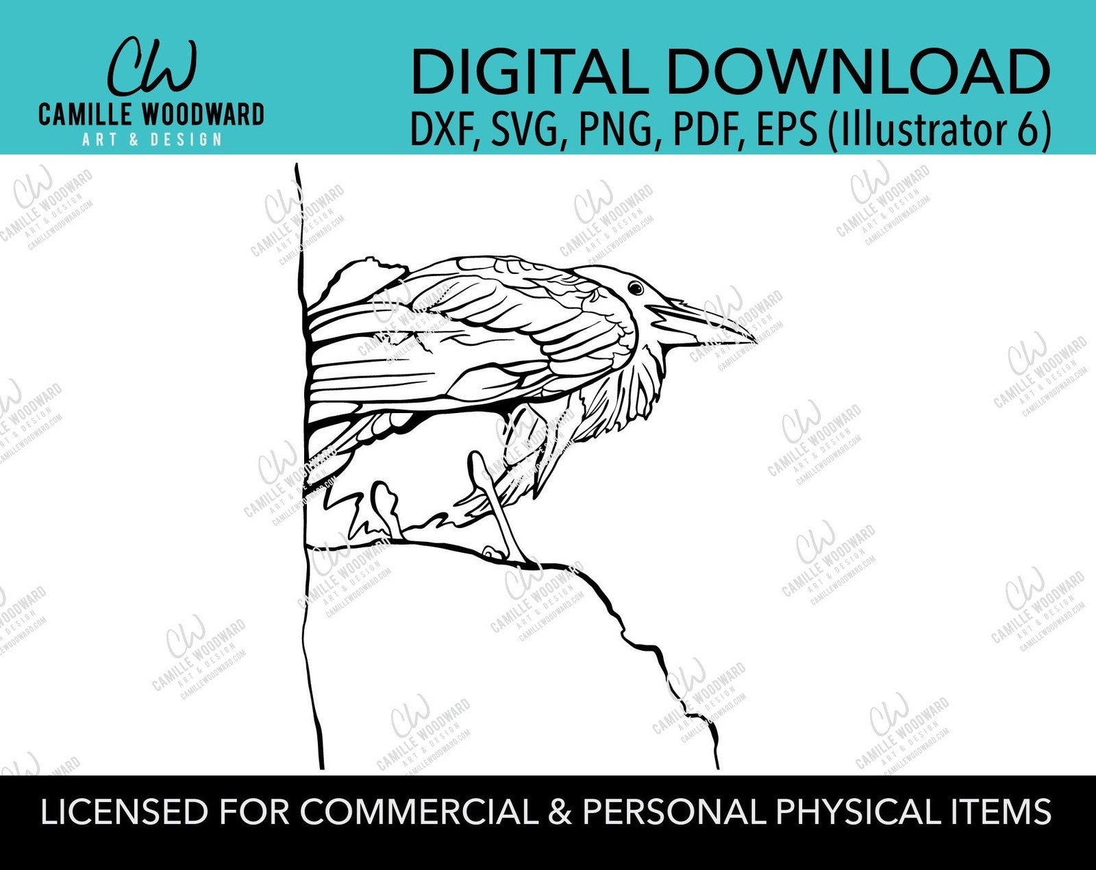Raven Bird Black and White Drawing, SVG, EPS, PNG - Digital Download Transparent